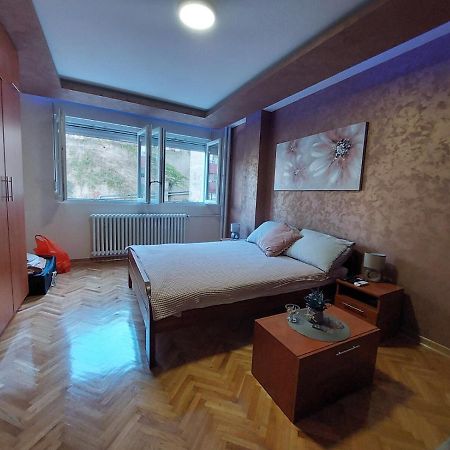 Cuca Apartments Belgrád Kültér fotó